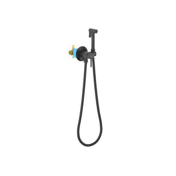 Набор для гигиенического душа Aquatek Европа AQ1021MB (со скрытой частью) чёрный матовый фото 
