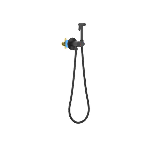 Набор для гигиенического душа Aquatek Бетта AQ1023MB (со скрытой частью) чёрный матовый фото 