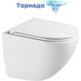 Унитаз подвесной безободковый Sintesi Ellipse SIN-TS-ELL-153 с крышкой микролифт (система смыва Торнадо) фото 