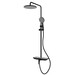 Душевая стойка Azario Ginkgo AZ-VPW238V95PA-1DJ1K22-ZH3A55, черный, Цвет производителя: чёрный фото 